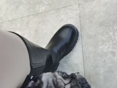 -美联众合动物医院·24h转诊中心