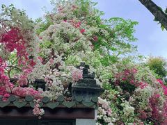 -深圳国际园林花卉博览园