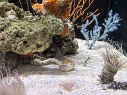 点击看大图 -Zoolung Zoolung动物主题公园(海信广场店)