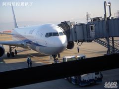 -全日本空输株式会社(上海办事处)