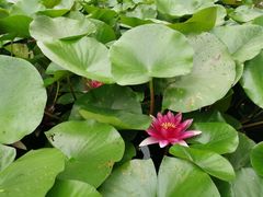-南通鹏欣花园国宾酒店