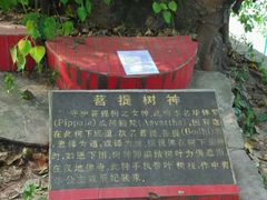 -石岩湖温泉度假村