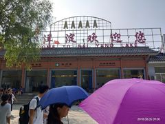 -白洋淀景区