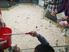 -昆明大悦城未来动物城(螺蛳湾中心店)