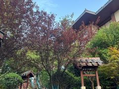 -启东恒大海上威尼斯酒店