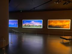 -罗红摄影艺术馆