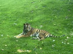 -北京野生动物园