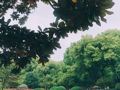 -西湖风景区十里琅珰-五云山