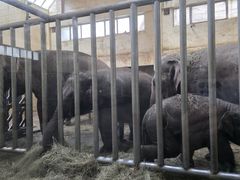 -石家庄市动物园