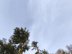 -佛慧山