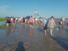 -南汇嘴观海公园