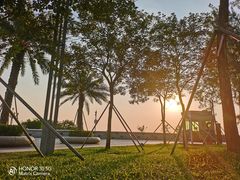 -宝安西湾红树林湿地公园