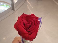 -海底捞火锅(龙湖金沙天街店)