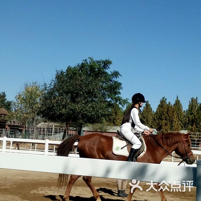 北京骑马俱乐部图片