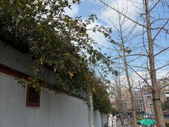 -龙华素斋(龙华路店)