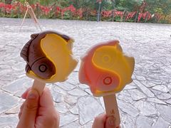 -茅山东方盐湖城景区