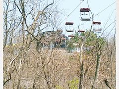 -青岛中山公园-索道售票处