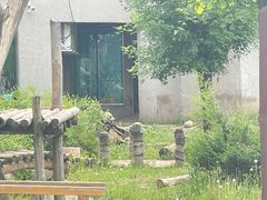 -沈阳森林动物园