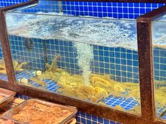 椒盐皮皮虾-碧海银沙海鲜餐厅(恒大海上威尼斯店)