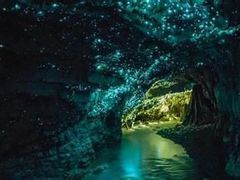 -怀托摩萤火虫洞