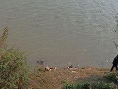 -秋水广场音乐喷泉