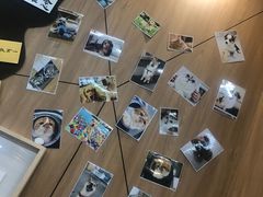 -爱妮康宠物医院·干细胞免疫细胞·肿瘤·心脏(张江店)