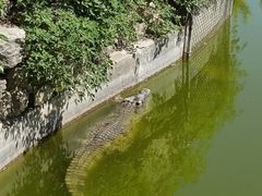 -石家庄市动物园