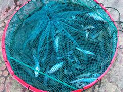 -碧桂园十里银滩