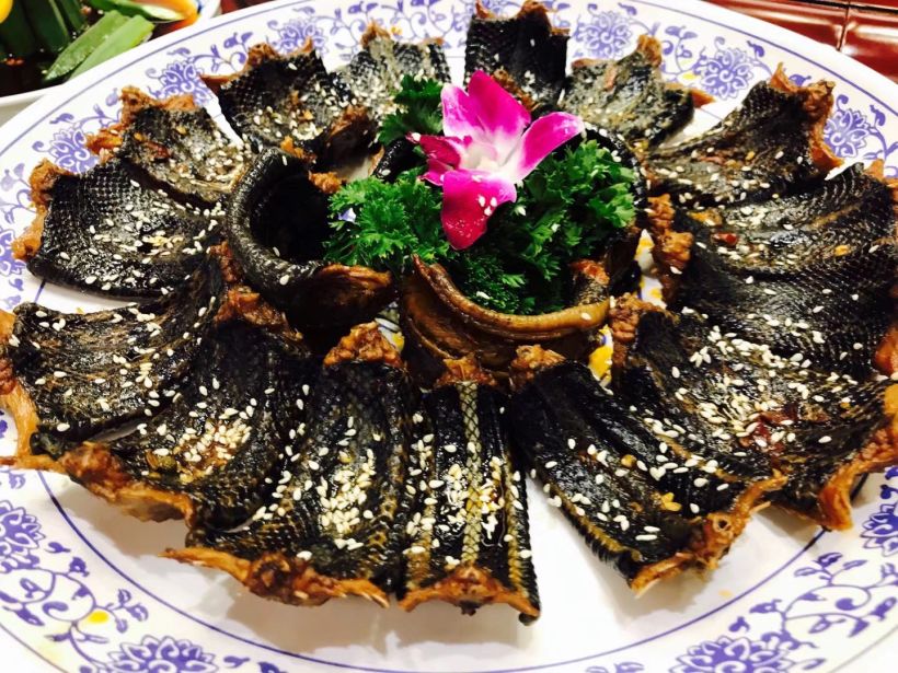 辣卤蛇段,19元/段,大约3斤一条的大蛇,卤的非常入味,浸入蛇肉的辣椒