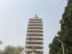 -原山国家森林公园