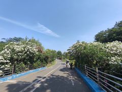 -贡湖湾湿地公园