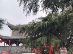-镇淮楼