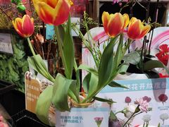 -盒马鲜生(首义店)
