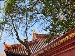 -南岳衡山风景名胜区