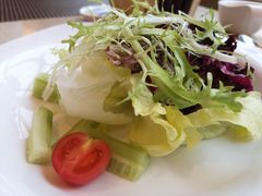 -亮马河饭店翠雅咖啡厅