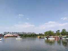 -上海长兴岛郊野公园