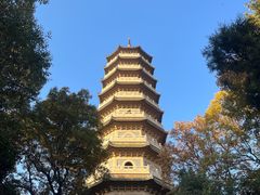 -灵谷景区