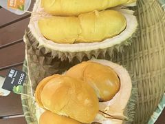 -榴莲BB 四季果园