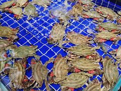 -宝轩渔府·老字号海鲜·正宗津菜(水上店)