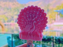 -西双版纳原始森林公园