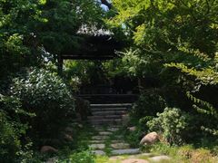 -朴园