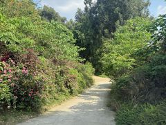 -空港花田景区