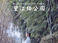 -望江楼公园