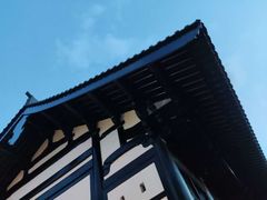 -荔湾湖公园