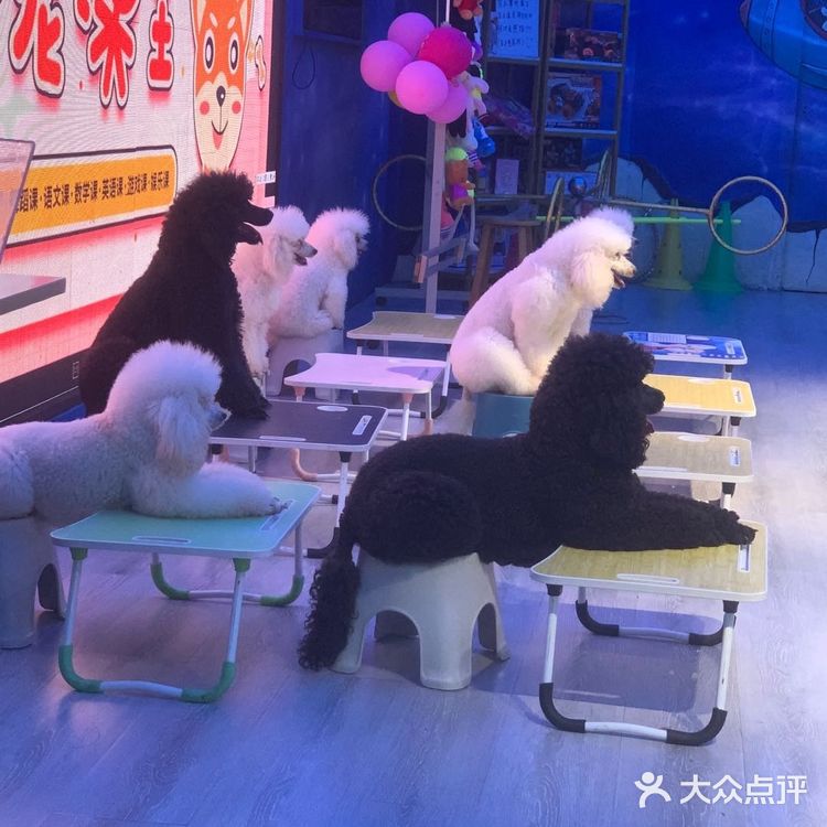 标题: 滴滴!打卡阳光100广场星期天亲子乐园?
