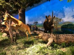 -国家自然博物馆