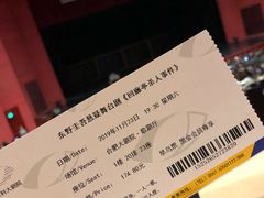 -合肥大剧院