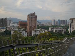 -福道