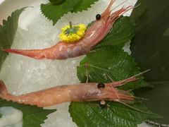 -極上萬膳·日料放题(海岸城店)