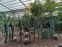 -呀路古热带植物园